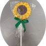 Chocolate Lollipops