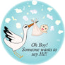 Baby Boy Shower Party Favor