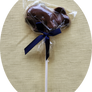 Chocolate Lollipops