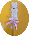 Chocolate Lollipops