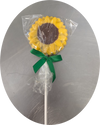 Chocolate Lollipops