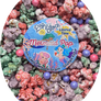 Mermaid Popcorn
