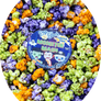 Monster Mash Popcorn